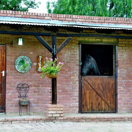 Owls Loft Guest House มิดแรนด์ ภายนอก รูปภาพ