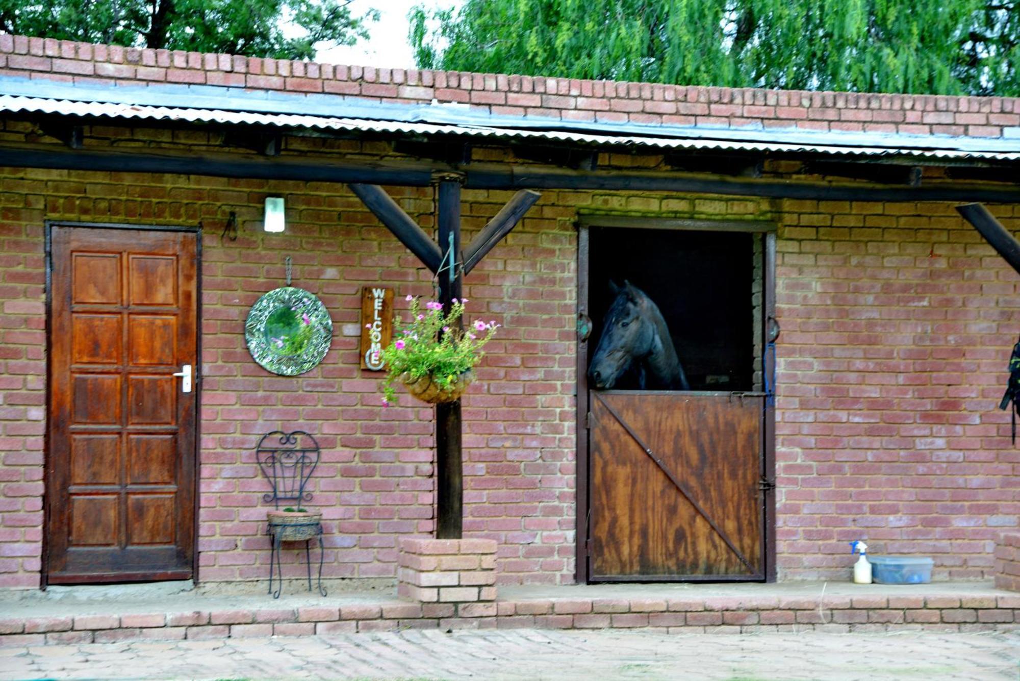 Owls Loft Guest House มิดแรนด์ ภายนอก รูปภาพ