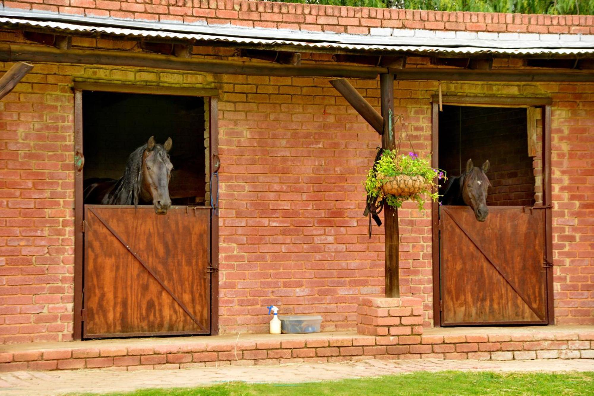 Owls Loft Guest House มิดแรนด์ ภายนอก รูปภาพ