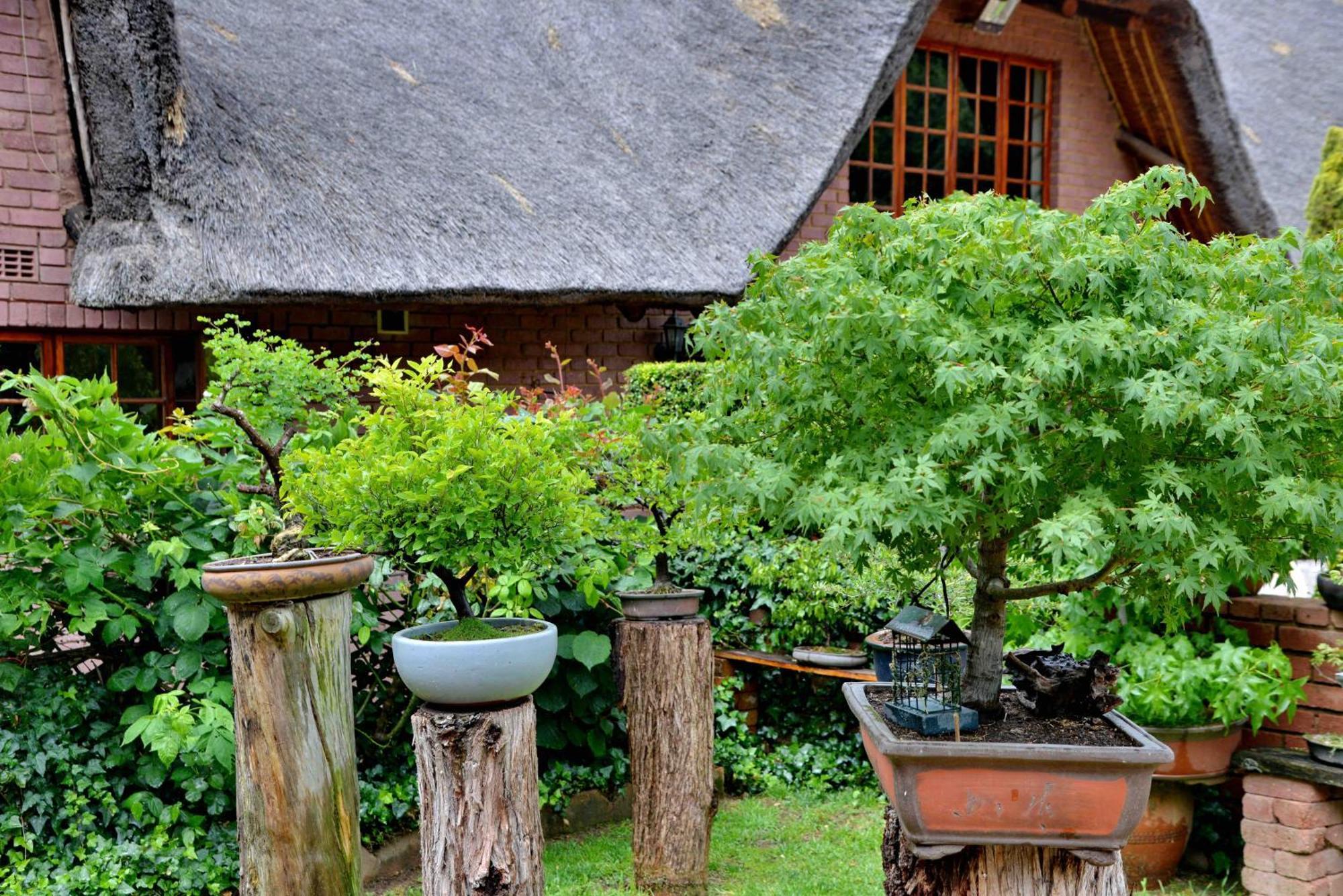 Owls Loft Guest House มิดแรนด์ ภายนอก รูปภาพ
